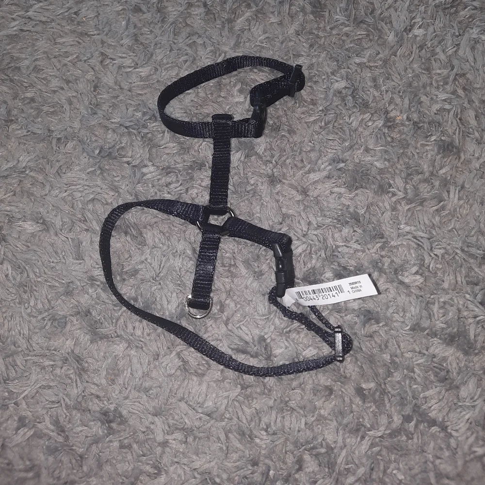 Pet harness